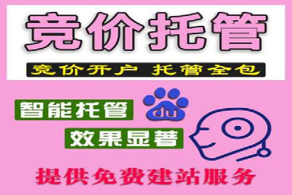 百度推广运营策略解析及成功案例分享